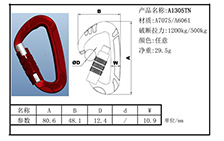 A1305TN